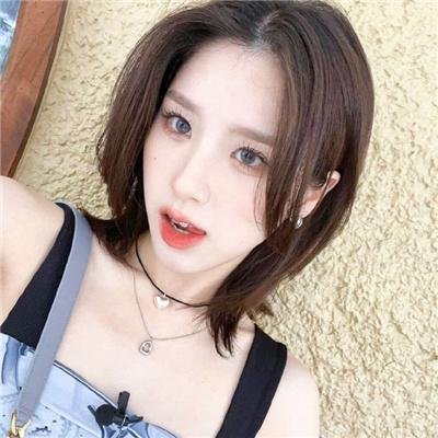 双世美姬封面